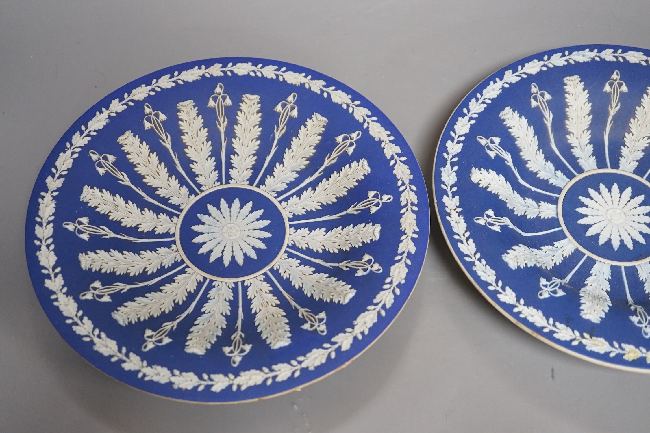 A pair of early 19th century Wedgwood jasper ware dishes, with radiating leaves from a central circle, 26cm